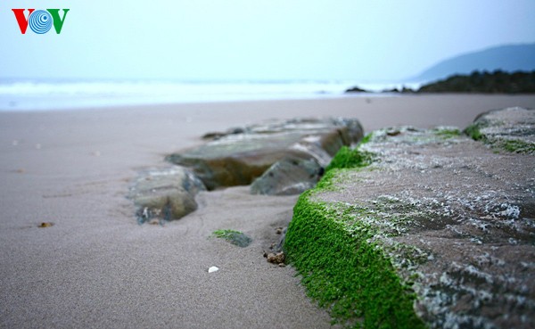 Primary beauty of Hoanh Son Beach  - ảnh 13